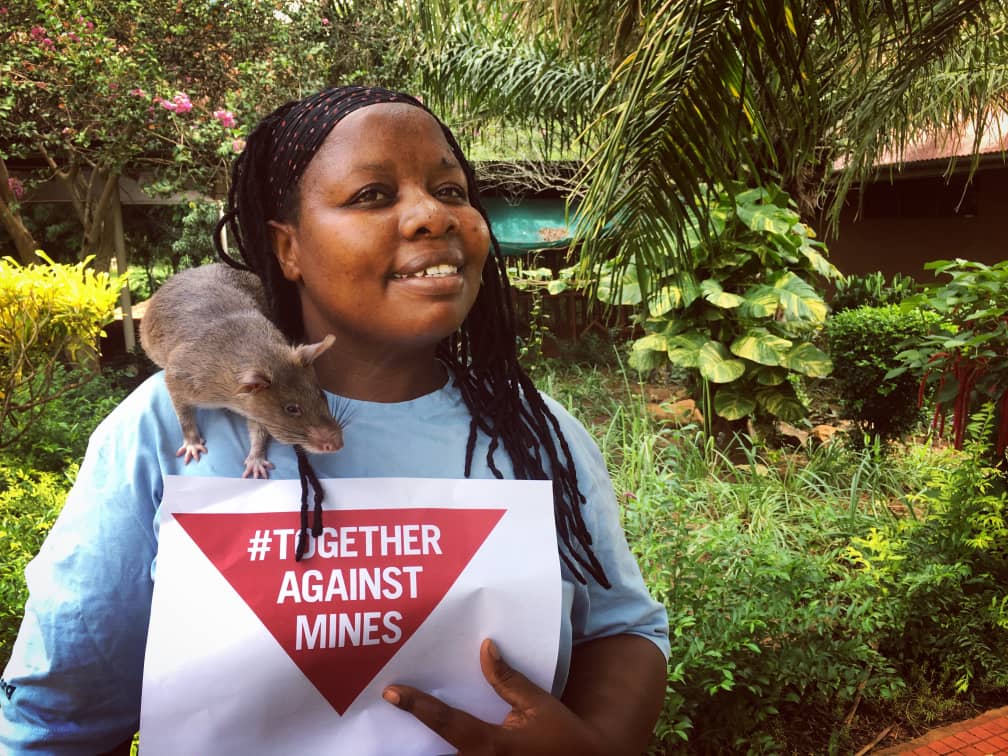HeroRAT Ronin Breaks Guinness World Record