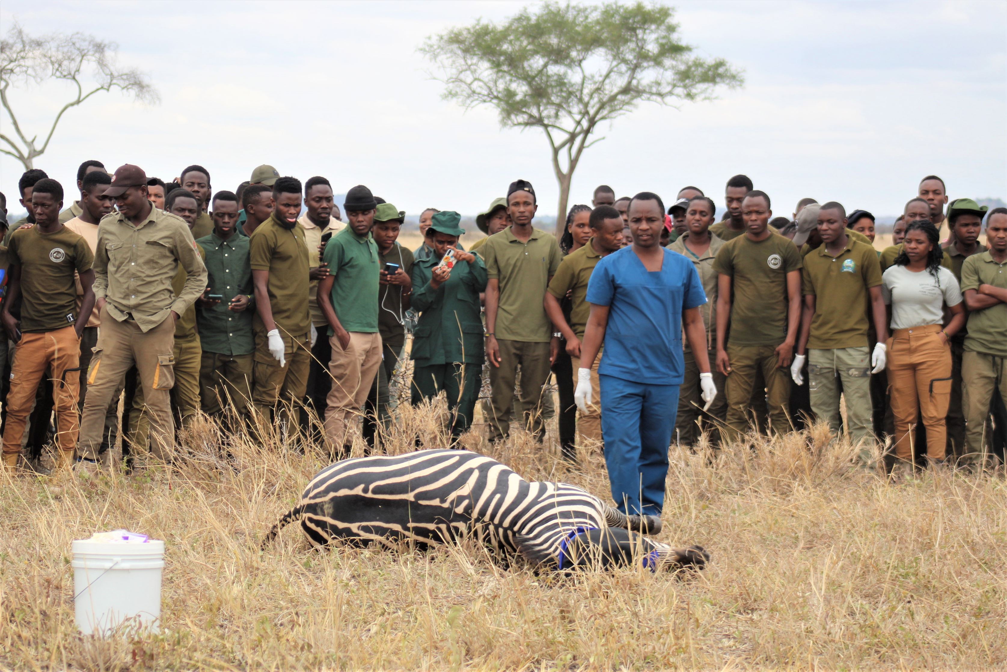 SUA yatoa mafunzo ya ukamataji wa wanyama pori katika hifadhi ya ...