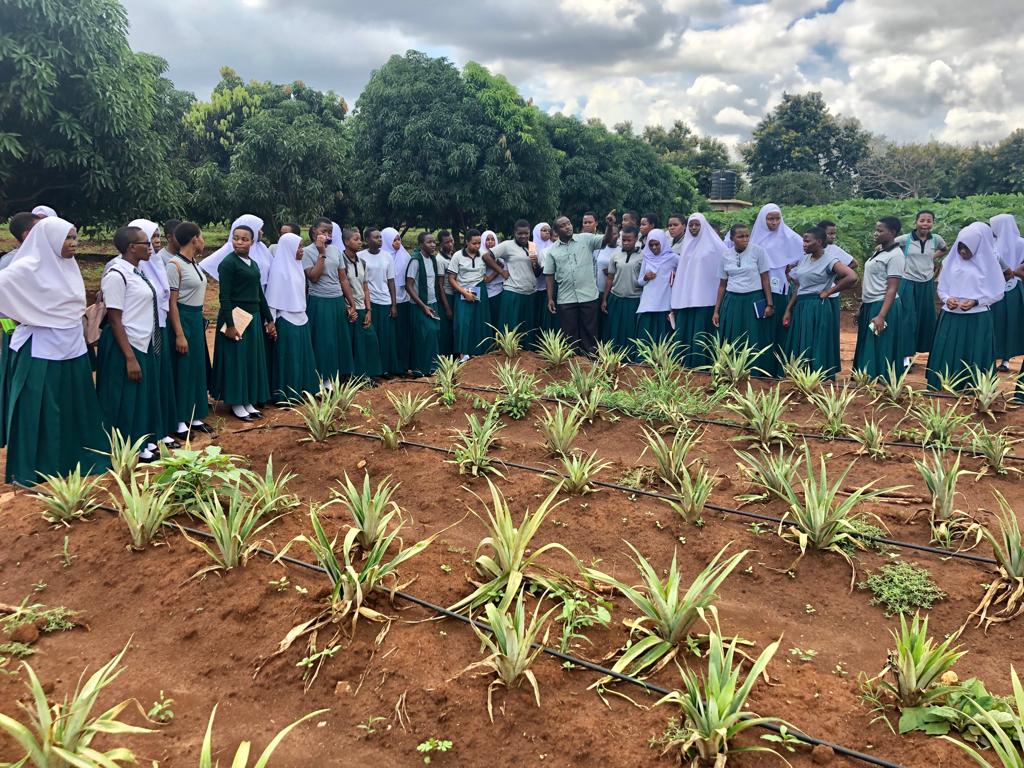 Morogoro Secondary Students at SUA