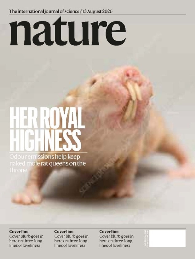 SUA Researcher Co-Authors Groundbreaking Nature Study Featured on Cover Page, Revealing How Naked Mole-Rat Queens Control Reproduction21