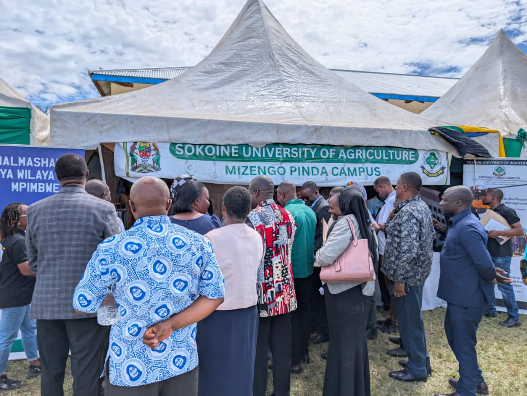 Youth Should Embrace Entrepreneurship Opportunities4