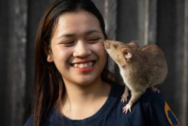 HeroRAT Ronin Breaks Guinness World Record