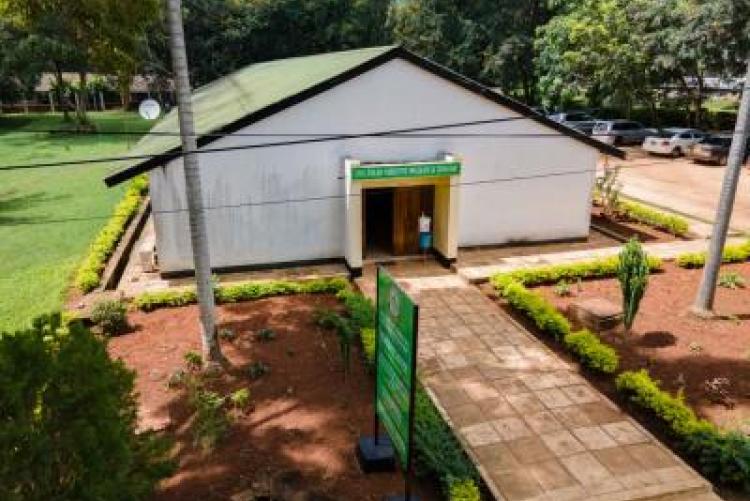 Tanzanian and Russian Scientific Expedition Ends with Strong Call for Forest Collaboration