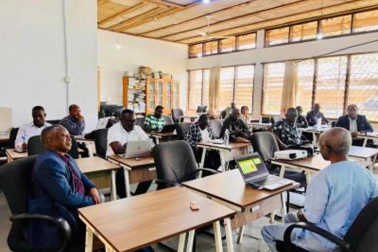 Carnegie African Diaspora Fellowship Program at SUA: Advancing African Linguistic Research and Mentorship