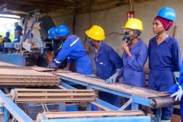 SUA Strengthens Practical Training for Wood Technology Students
