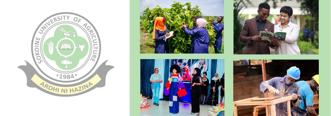 SUA's Ethnic Voices Project Wins Global AI Award
