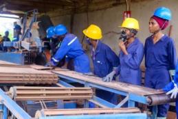 SUA Strengthens Practical Training for Wood Technology Students